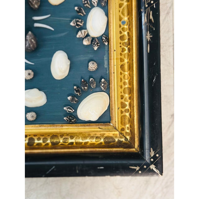 Antique Frame With Shell Artwork For Sale - Image 4 of 7