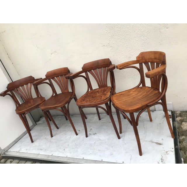 Wood Vintage Beech Armchairs, 1950s, Set of 4 For Sale - Image 7 of 18