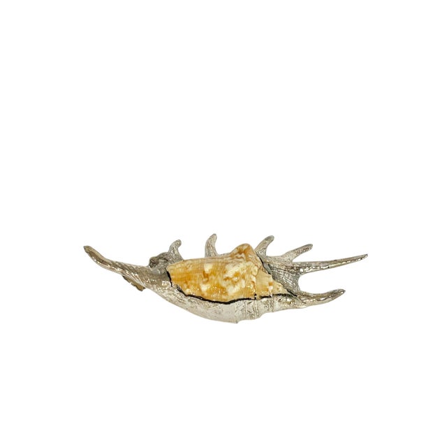 Hollywood Regency Vintage Partially Silvered Lambis Scorpion Spider Conch Shell in the Style of Bucellati For Sale - Image 3 of 10