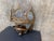 A vintage metal wall sconce with an openwork crown design, circular openings, and pointed ornamental details rising along...