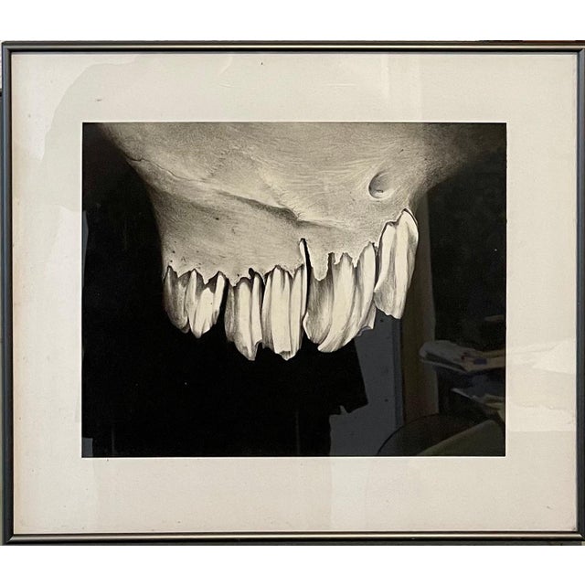 Erica Child Prud’homme, Charcoal Drawing Abstract Teeth Bone Erica Child Prudhomme American Woman Artist, 1994 For Sale