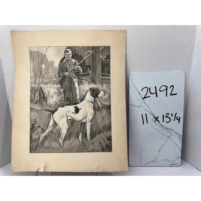 Paper 1940s Original Signed Graphite Illustration of Bird Dog and Hunter in Forest, 13.25 In. H × 11 In. W For Sale - Image 7 of 7
