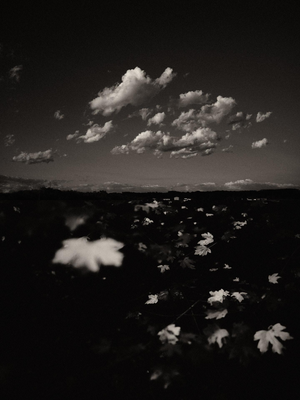 Jaume Llorens Bach, Gaia Diptych #103, Monochrome Photographic Print
