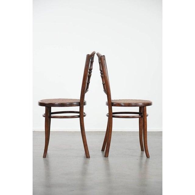 1960s Vintage Wooden Bistro Chairs by Jacob & Josef Kohn Wien, Set of 6 For Sale - Image 5 of 18