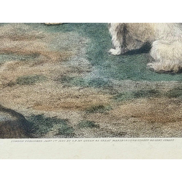 Wood 1880 Hand-Colored Engraving "Highland Dogs" After Sir Edwin Landseer in Custom Burlwood Frame For Sale - Image 7 of 11
