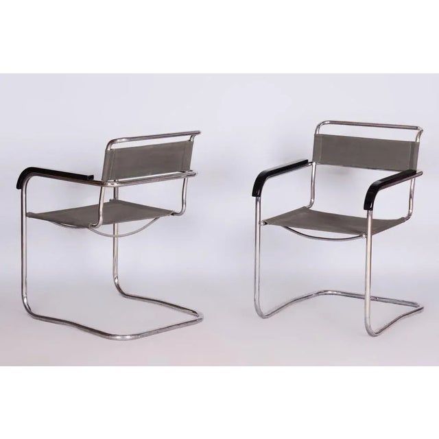 1930s Set of Bauhaus Armchairs attributed Marcel Breuer for Thonet, Czech, 1930s For Sale - Image 5 of 9