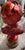 Neoclassical Vintage Glazed Red Ceramic/Terracotta Bust of Young Alexandre Brongniart 15.5" Tall For Sale - Image 3 of 3