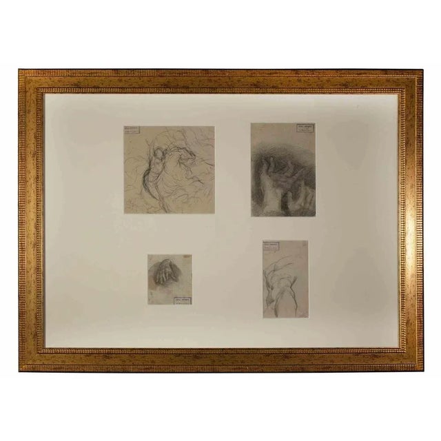 Anatomical studies is an original artwork realized by Luigi Galli in the late 19th Century. The artwork is composed by a...