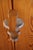 Brutalist Sculptural Pine Dining Chairs with Keyhole Backs, 1970s, Set of 4 For Sale - Image 3 of 14