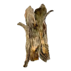 Seena Donneson, Cast Bronze Organic Husk Wall Mounted Abstract Textured Sculpture Seena Donneson, 2008