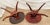 Vintage Mersman Accent Oval Side Tables, Lyre Harp Base, Mahogany Set of Two For Sale - Image 16 of 18