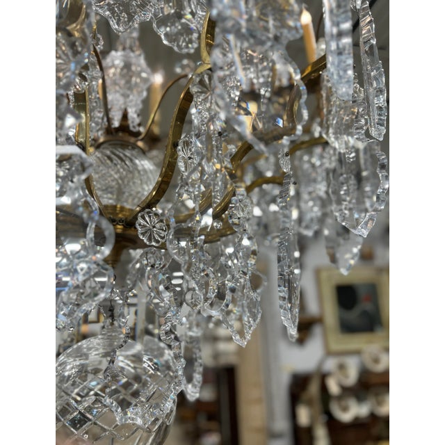 Palatial 19th Century French Louis XV Style Gilt Bronze and Crystal 16 ...
