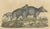Karl Joseph Brodtmann, Tapir Family with Juvenile in Tropical Wetland, 1816, Lithograph For Sale - Image 4 of 10
