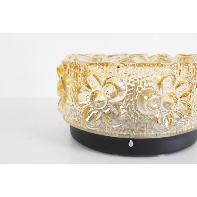 Amber Glass Flower Wall Lamp attributed to Erco, 1970s For Sale - Image 6 of 10