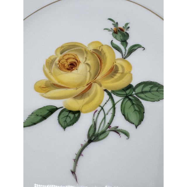 Painted Porcelain Plate from Meissen, 1960s For Sale - Image 3 of 10