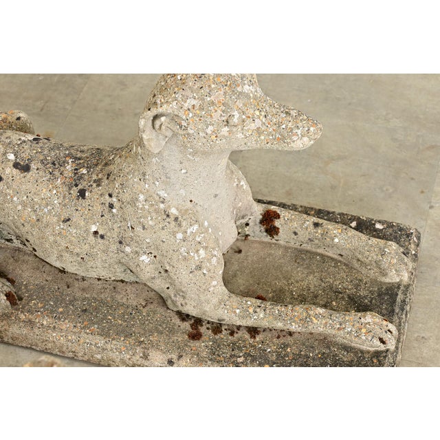 Early 20th Century English Pair of Cast Stone Whippet Garden Statues For Sale - Image 11 of 12