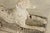 Early 20th Century English Pair of Cast Stone Whippet Garden Statues For Sale - Image 11 of 12