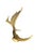 Bone European Collection of Elk and Moose Antlers - Set of 9 For Sale - Image 7 of 18