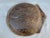 Antique Hand Hewn Wood Dough Bowl For Sale - Image 9 of 12