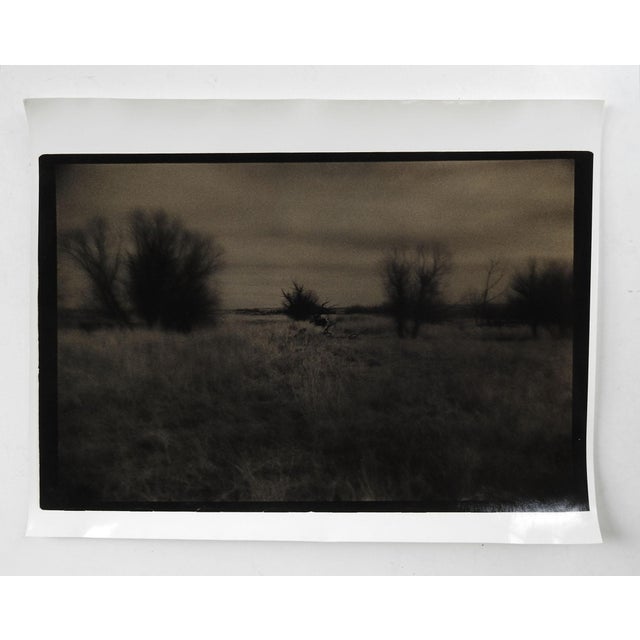 Vintage circa 1990's photograph on heavy paper by Eric C. Weller (20th century) Texas. Dark sepia toned semi glossy...