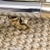 Metal Vintage Chrome and Brass End Table in the Style of Karl Springer For Sale - Image 7 of 8