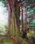 Contemporary When the World Was New by Thane Gorek | Gouache and oil on canvas Forest scene with trees and foliage For Sale - Image 3 of 4