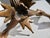 French Empire Neo-Classical Candlesticks - A Pair of 2 For Sale - Image 14 of 16