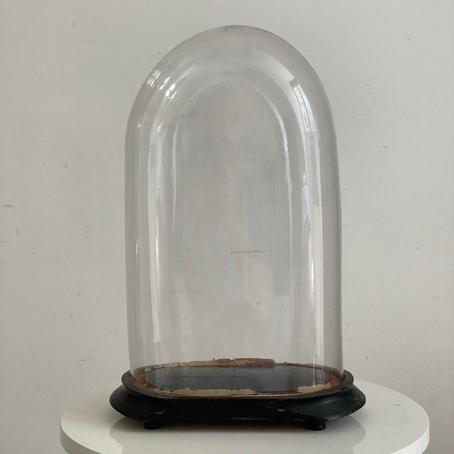 Glass 19th Century Wedding Globe For Sale - Image 7 of 7