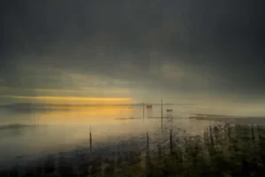 Marsh Light 7 by Robert Canis Print, 16" x 24"