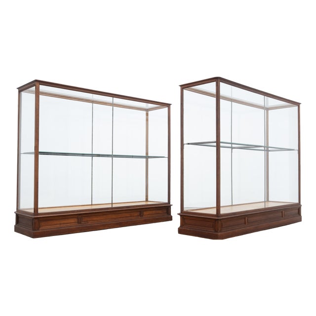 Antique Oak Museum Display Cases, 1910 For Sale