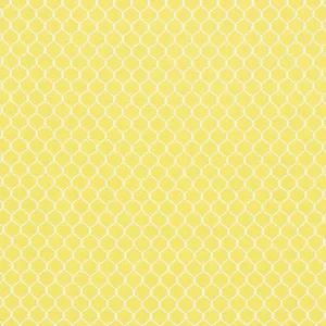 Schumacher Fishnet Fabric in Yellow