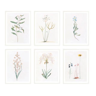 Celerie Kemble Curated Australian Botanical Set of 6 (24X30) in White Frame For Sale