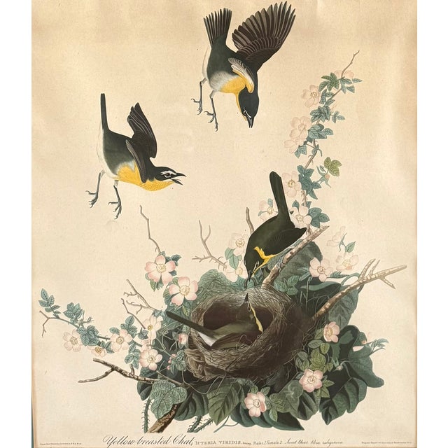 Mid 20th Century Pair of Vintage Framed Bird Illustration Lithographs by John James Audubon For Sale - Image 5 of 17