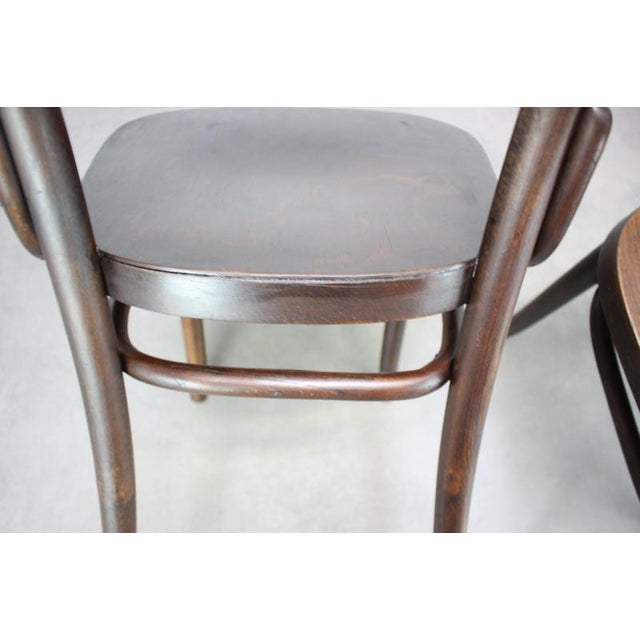 Bentwood Chairs from Thonet, Former Czechoslovakia, 1920s, Set of 2 For Sale - Image 10 of 15