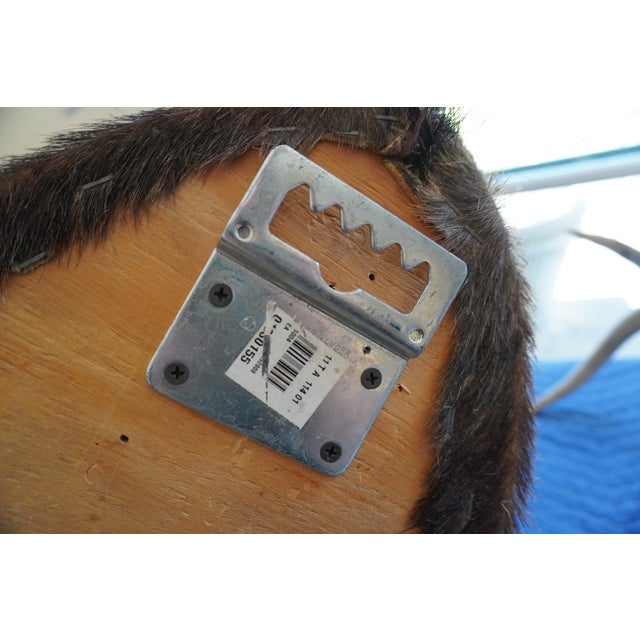 Wildebeest Mount Head Bust For Sale - Image 18 of 18