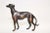 Art Deco Cast Metal Greyhound Dog Sculpture For Sale - Image 3 of 12