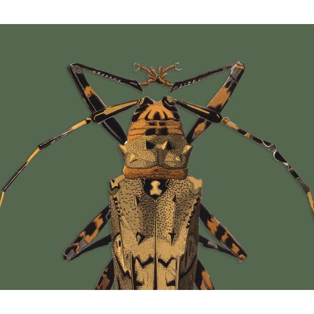 The series was produced by CFA editions from original pochior prints by E.A. Seguy. The series of insects that Seguy...