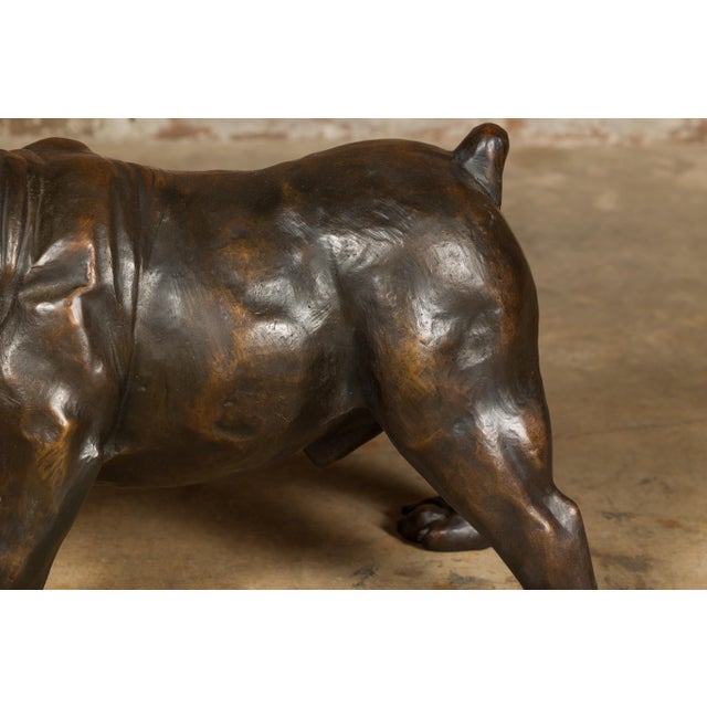 Vintage American Art Life-Size Bronze Bulldog Sculpture For Sale - Image 9 of 10