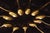 Gold-Plated Coffee Spoons, France, Set of 11 For Sale - Image 18 of 18
