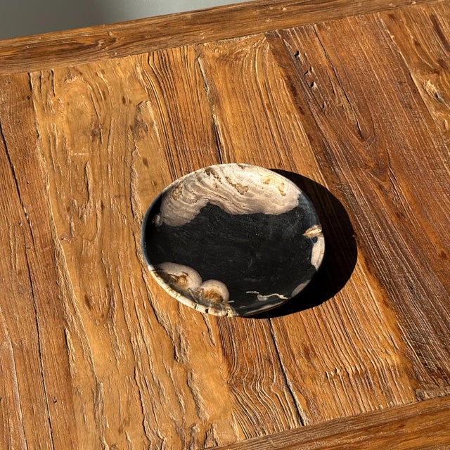 Small trinket dish or tray made of petrified wood. Petrified wood is a fossilized wood (from the same family as magnolia)...