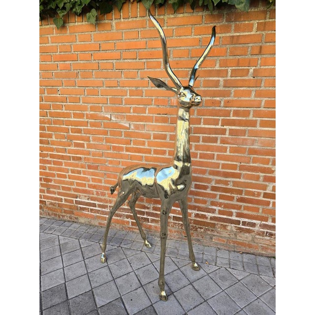 Life-Size Antelope, 1950s, Polished Bronze Sculpture For Sale - Image 3 of 18