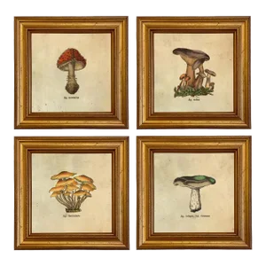 Set of 4 Vintage Style Mushroom Framed Prints