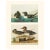 Paper 1966 Vintage Cottage Print "Green-Winged Teal & Razor-Billed Auk" After John James Audubon For Sale - Image 7 of 7