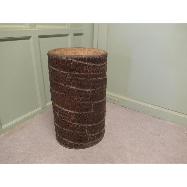 Hollow Palm Tree Trunk Stick Stand, 1960 For Sale - Image 6 of 8