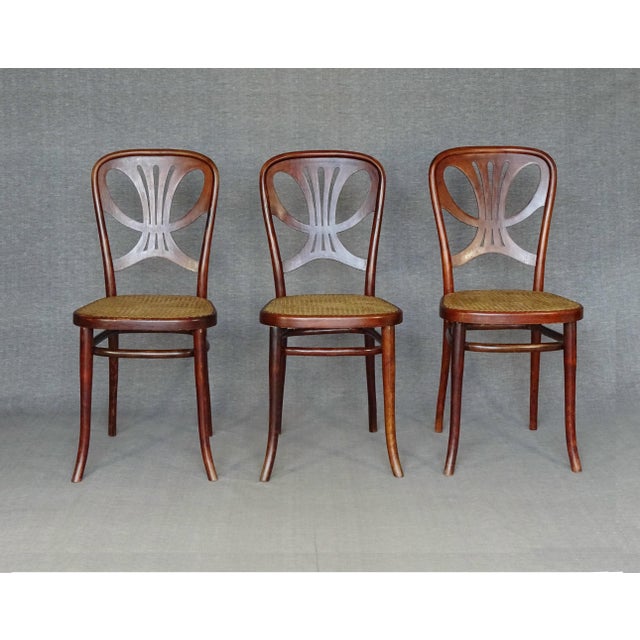 1910s Chairs No. 642 Butterfly Model by Michael Thonet, 1910, Set of 3 For Sale - Image 5 of 15