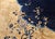 Antique Art Deco Chinese Oversized Rug, Handwoven Wool, Cranes & Butterflies Design, Navy & Tan, 14' X 19' For Sale - Image 12 of 17