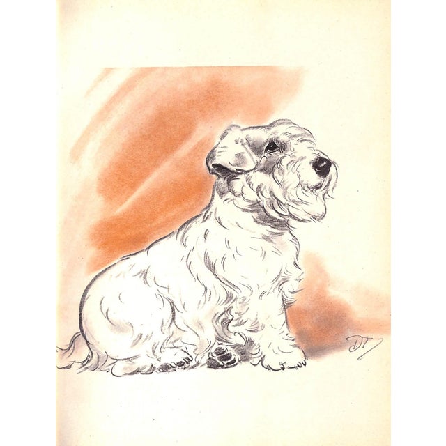 Traditional "Diana Thorne's Dogs: An Album of Drawings" 1944 Thorne, Diana For Sale - Image 3 of 12