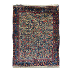 Early 1900s Antique Floral Botanical Allover Ivory Cream Blue Navy Hand Knotted Rug - 4’8” X 6'