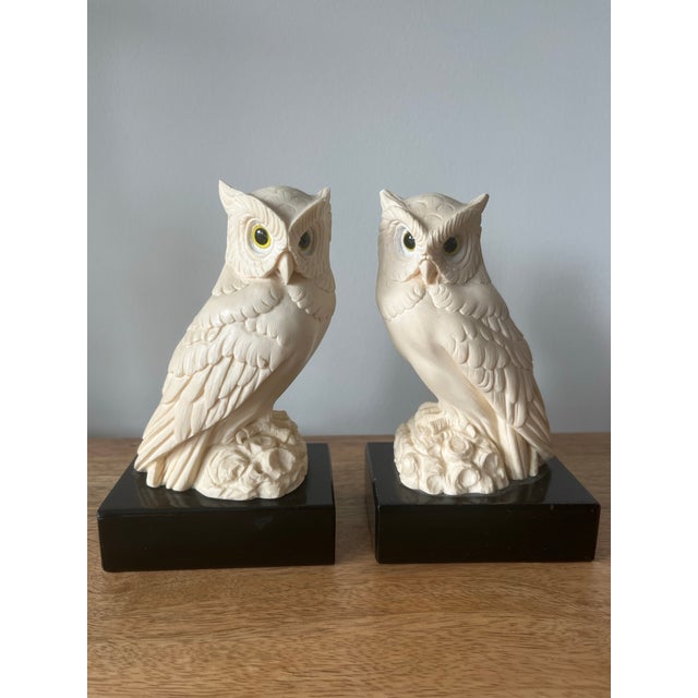 A gorgeous pair of A.Gianelli recomposed alabaster owls to watch over your tomes.
