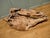 Wood Hand-Carved Live Wood Iguana For Sale - Image 7 of 9